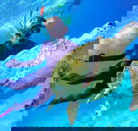 Great Barrier Reef Day Cruise from Cairns Including Snorkeling and Marine Biologist Presentation