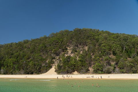 All Inclusive Dolphin And Tangalooma Wrecks Cruise - Brisbane Tourism 4