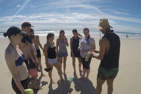 Half Day Dolphin Kayaking And Snorkeling Tour - Brisbane 4u 6