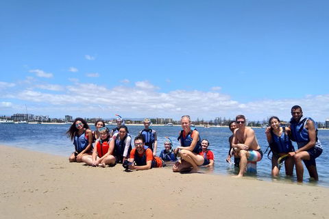 Half Day Dolphin Kayaking And Snorkeling Tour - Brisbane 4u 9