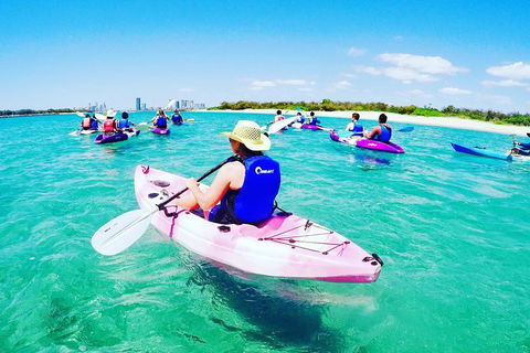 Half Day Dolphin Kayaking And Snorkeling Tour - Brisbane 4u 0