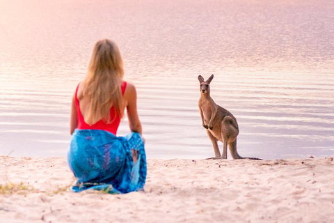 Serenity Cruise To Australia\'s Everglades - Tourism Brisbane 10
