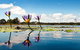 Serenity Cruise To Australia\'s Everglades - thumb 7