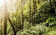 Serenity Cruise To Australia\'s Everglades - thumb 8