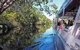 Serenity Cruise To Australia\'s Everglades - thumb 0