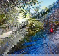 Serenity Cruise to Australia's Everglades