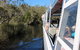 Serenity Cruise To Australia\'s Everglades - thumb 2