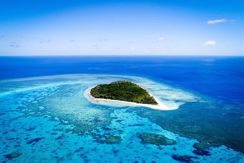Lady Musgrave Day Trip From Bundaberg Including Snorkeling, Glass Bottom Tour And Guided Island Walk - Brisbane 4u 0
