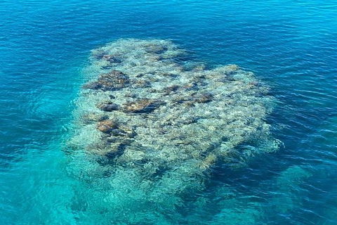 Lady Musgrave Day Trip From Bundaberg Including Snorkeling, Glass Bottom Tour And Guided Island Walk - Brisbane 4u 2