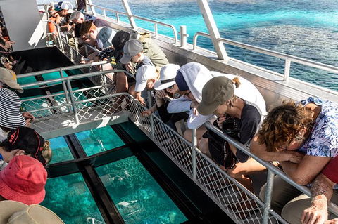 Lady Musgrave Day Trip From Bundaberg Including Snorkeling, Glass Bottom Tour And Guided Island Walk - Brisbane 4u 3
