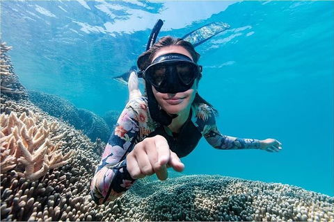Lady Musgrave Day Trip From Bundaberg Including Snorkeling, Glass Bottom Tour And Guided Island Walk - Brisbane 4u 1