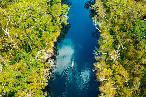 Cruise \'n\' Canoe To Australia\'s Everglades - Tourism Brisbane 1