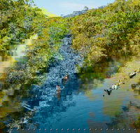 Cruise 'n' Canoe to Australia's Everglades