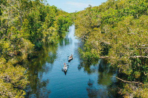 Cruise \'n\' Canoe To Australia\'s Everglades - Tourism Brisbane 0