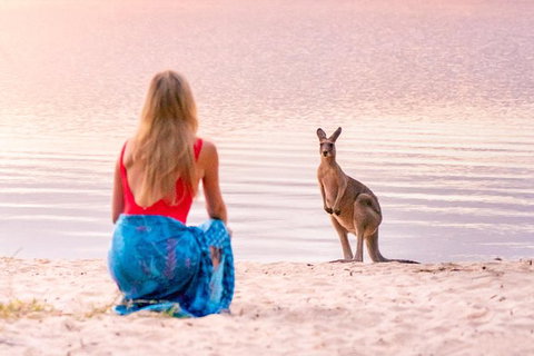 Cruise \'n\' Canoe To Australia\'s Everglades - Tourism Brisbane 2