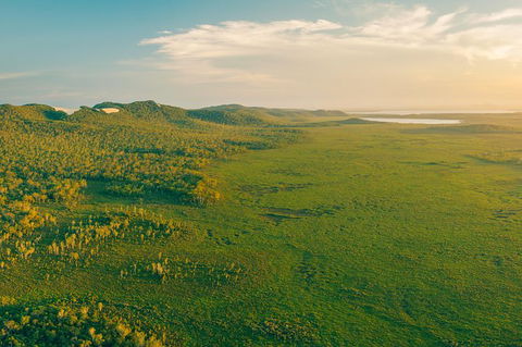 Everglades Eco Safari To Australia\'s Everglades - Tourism Brisbane 14