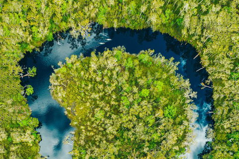 Everglades Eco Safari To Australia\'s Everglades - Tourism Brisbane 8