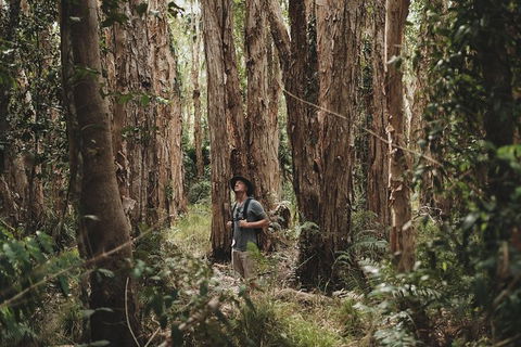 Everglades Eco Safari To Australia\'s Everglades - Tourism Brisbane 7