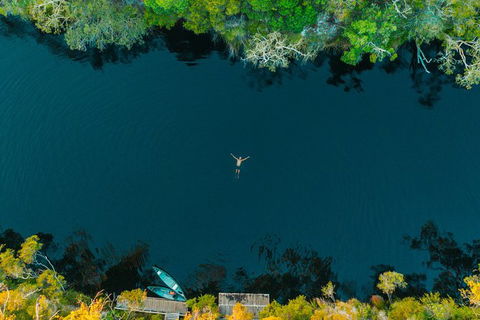 Everglades Eco Safari To Australia\'s Everglades - Tourism Brisbane 2