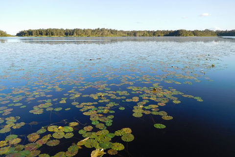 Everglades Eco Safari To Australia\'s Everglades - Tourism Brisbane 5