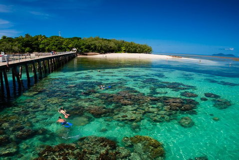Fly To Green Island - Cruise Return - Brisbane Tourism 14