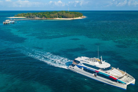 Fly To Green Island - Cruise Return - Brisbane Tourism 6