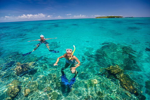 Fly To Green Island - Cruise Return - Brisbane Tourism 2