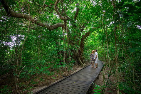 Fly To Green Island - Cruise Return - Brisbane Tourism 17