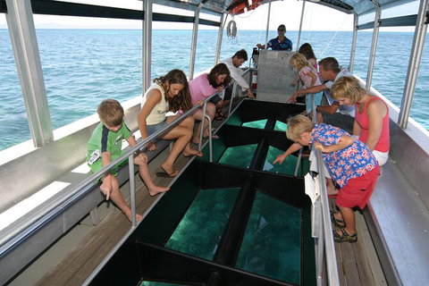 Fly To Green Island - Cruise Return - Brisbane Tourism 13