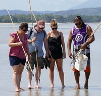 Aboriginal Cultural Daintree Rainforest Tour from Cairns or Port Douglas - Brisbane Tourism