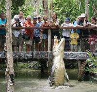 Hartley's Crocodile Adventure Half-Day Tour - Brisbane Tourism