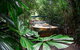 Cairns 2-Day Combo: Great Barrier Reef Cruise And Kuranda - thumb 1