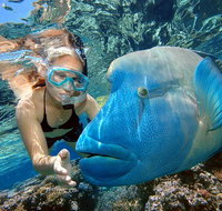 Cairns 2-Day Combo Great Barrier Reef Cruise and Kuranda - Brisbane Tourism