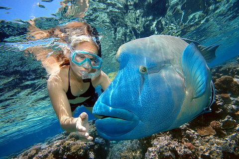 Cairns 2-Day Combo: Great Barrier Reef Cruise And Kuranda - Brisbane Tourism 0