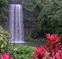 The Original Day Tour to Paronella Park Lake Barrine and Millaa Millaa Falls - Brisbane Tourism
