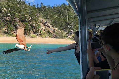 Aquascene Magnetic Island Discovery Tour - Tourism Brisbane 2