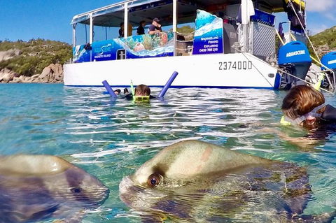 Aquascene Magnetic Island Discovery Tour - Tourism Brisbane 4