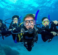 Great Barrier Reef Diving and Snorkeling Cruise from Cairns - Brisbane Tourism