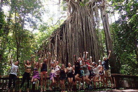 Atherton Tablelands Waterfalls Tour From Cairns - Brisbane Tourism 8