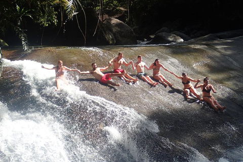 Atherton Tablelands Waterfalls Tour From Cairns - Brisbane Tourism 4