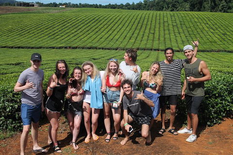 Atherton Tablelands Waterfalls Tour From Cairns - Brisbane Tourism 6