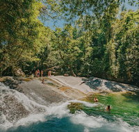 Atherton Tablelands Waterfalls and Rainforest Day Tour Departing Cairns - Brisbane Tourism