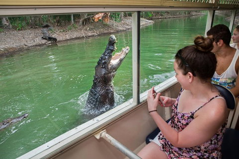 Hartley\'s Crocodile Adventures Wildlife Encounter Day Trip From Cairns - Brisbane Tourism 0