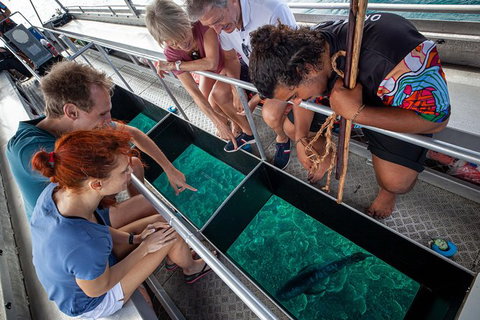 Great Barrier Reef Tour With Indigenous Sea Rangers-Dreamtime Dive And Snorkel - Brisbane Tourism 4