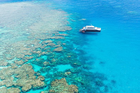 Great Barrier Reef Tour With Indigenous Sea Rangers-Dreamtime Dive And Snorkel - Brisbane Tourism 3