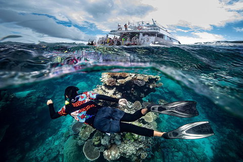 Great Barrier Reef Tour With Indigenous Sea Rangers-Dreamtime Dive And Snorkel - Brisbane Tourism 7