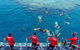 Great Barrier Reef Tour With Indigenous Sea Rangers-Dreamtime Dive And Snorkel - thumb 2