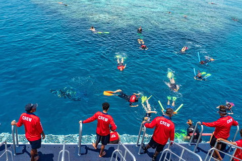 Great Barrier Reef Tour With Indigenous Sea Rangers-Dreamtime Dive And Snorkel - Brisbane Tourism 2