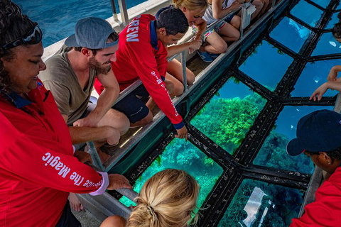 Great Barrier Reef Tour With Indigenous Sea Rangers-Dreamtime Dive And Snorkel - Brisbane Tourism 6