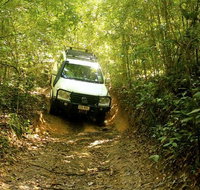 Barron Gorge and Kuranda National Park Half Day Rainforest and Waterfall 4WD Tour from Cairns - Brisbane Tourism